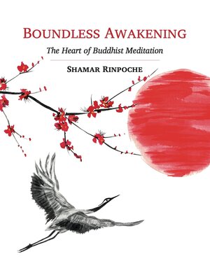 cover image of Boundless Awakening